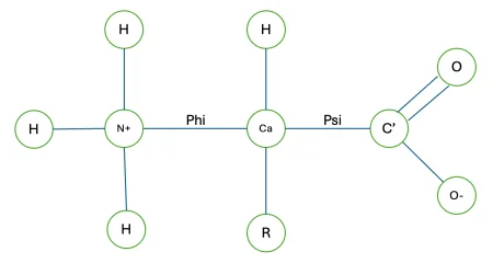 Structure of amino acids