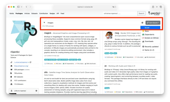 A screenshot of the new search bar