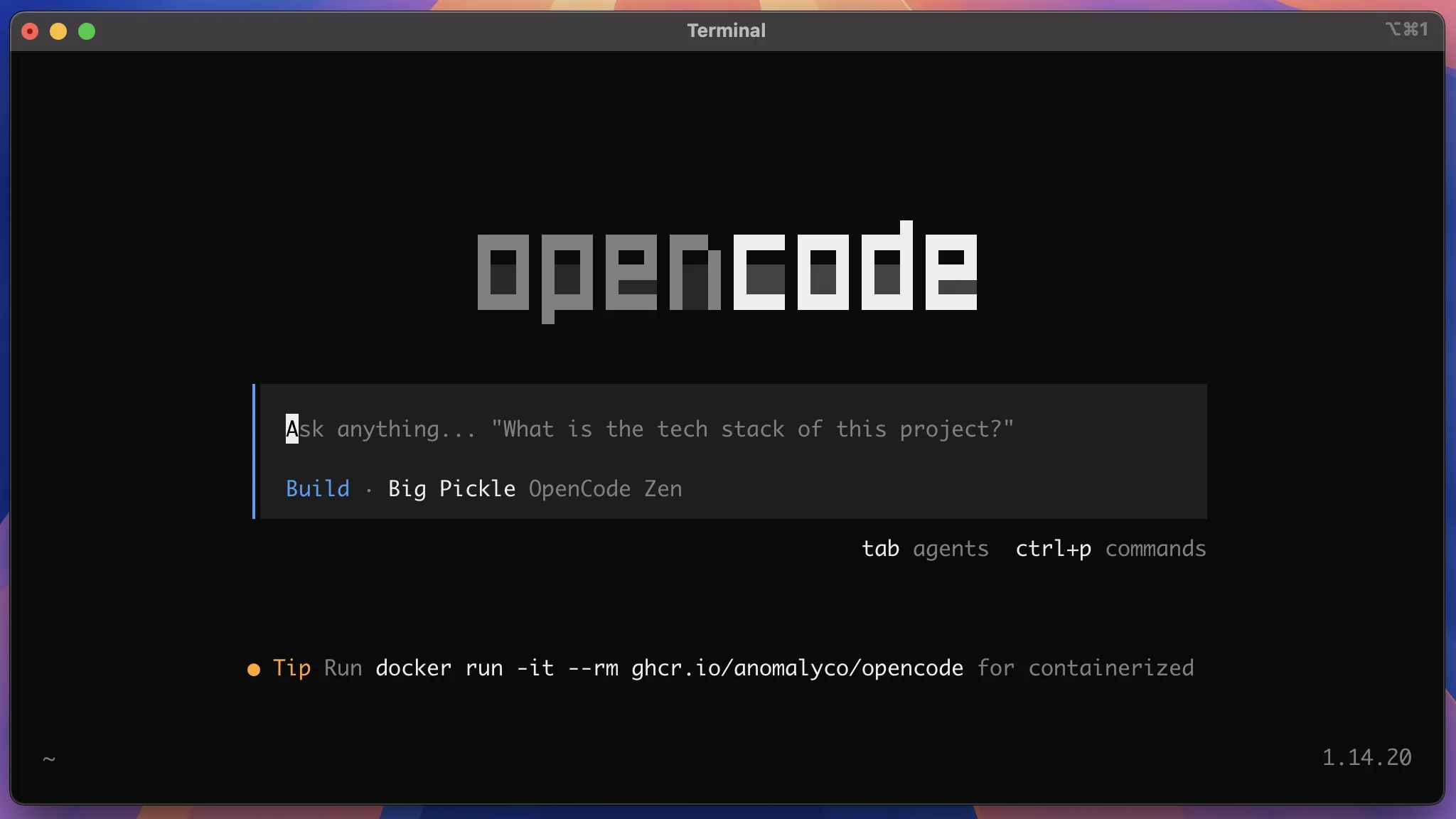 OpenCode's Initial Screen
