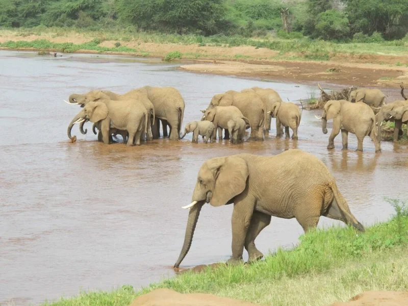 APT TA423 Intensifies Watering Hole Attacks Using ScanBox Framework